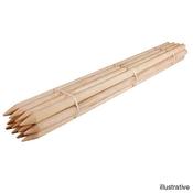 Tree Stake (180 x 40cm)