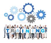 SOLAS Training A Business Case Study