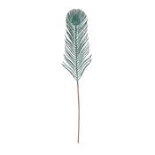 Peacock Feather Stem