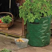 Potato Planter Bags (2 Pack) image