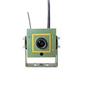 Wireless Bird Box Camera - Green Feather