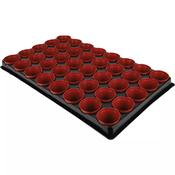 Seed &amp; Cutting Tray with 40 Pots Cell Propagation Tray