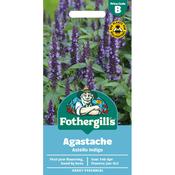 Agastache Seeds (Astello Indigo)