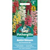 Antirrhinum Seeds (Rust Resistant Mix) image
