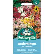 Antirrhinum Seeds (Tom Thumb Mix) image