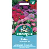 Aster Seeds (Colour Carpet Mix) image