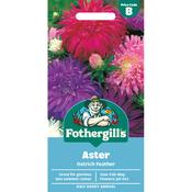Aster Seeds (Ostrich Feather) image