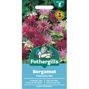 Bergamot Seeds (Panorama Mix) image