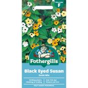 Black Eyed Susan Mixed Seeds