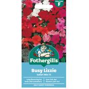 Busy Lizzie Seeds (Safari Mix)