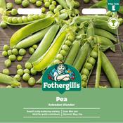 Pea Seeds (Kelvedon Wonder) image