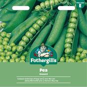 Pea Seeds (Onward) image