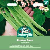 Runner Bean Seeds (Celebration)