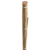 Grow It Bamboo Canes Bulk Bundle 60cm 20pk image