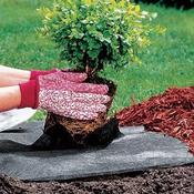 Weed Control Fabric Lite (15m x 1m) image