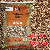 Autumn Gold Pot Topper 12mm (4kg)