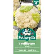 Cauliflower Seeds (Tulio F1) image