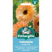 Calendula Seeds (Orange Flash)