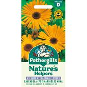 Calendula Seeds (Pot Marigold Nova)