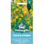Canary Creeper Seeds image