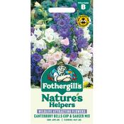 Canterbury Bells Seeds (Cup &amp; Saucer Mix)