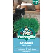 Cat Grass Seeds (Avena Sativa) image