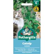 Catnip Seeds (Catmint) image