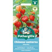 Chinese Latern Seeds (Physalis Alkekengi) image