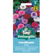 Cornflower Seeds (Polka Dot) image