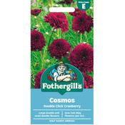 Cosmos Seeds (Double Click Cranberry) image