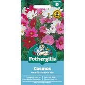 Cosmos Seeds (Dwarf Sensation) image