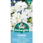Cosmos Seeds (Psyche White) image