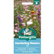 Everlasting Flower Seed Mixture image