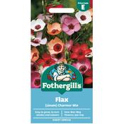 Flax Seeds (Linum Charmer Mix) image