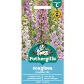 Foxglove Seeds (Excelsior Mix) image