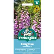 Foxglove Seeds (Warm Rose) image
