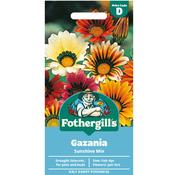Gazania Seeds (Sunshine Mix) image