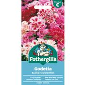 Godetia Seeds (Azalea Flowered) image