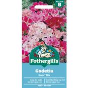 Godetia Seeds (Dwarf Mix) image
