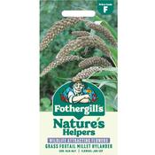 Grass Foxtail Millet Hylander Seeds (Setaria) image