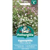 Gypsophila Seeds (Cotton Candy) image
