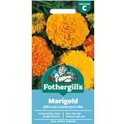 Marigold Seeds (African Crackerjack Mix) image