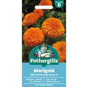 Marigold Seeds (African | Orange Beast F1) image