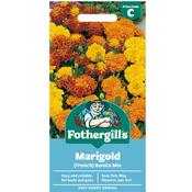 Marigold Seeds (French | Bonita Mix) image