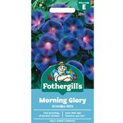 Morning Glory Seeds (Grandpa Otts) image