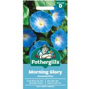Morning Glory Seeds (Heavenly Blue) image