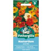 Nasturtium Seeds (Jewel Mix) image