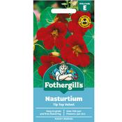 Nasturtium Seeds (Tip Top Velvet) image