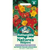 Nasturtium Trailing Seeds (African Queen)