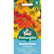 Nasturtium Trailing Seed Mixture image